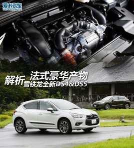 ʽAa(chn) ѩFȫDS4&DS5