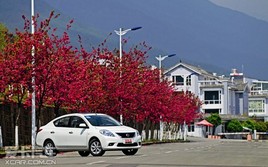 ꖹӳT ȫw|L(fng)ծa(chn)ꖹ