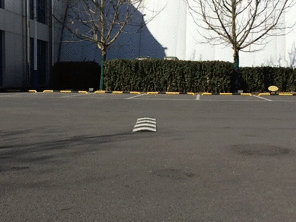 懸掛軟硬 懸掛軟硬