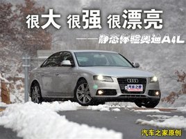 ʧеûٲȫ°µA4L 2.0 TFSI