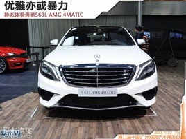 Ǳ ̬鱼S63L AMG