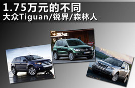 2 Tiguan//ɭ