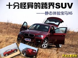 ʮֹĿSUV ̬ڱX6