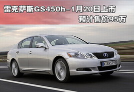׿˹GS450h20 Ԥ95